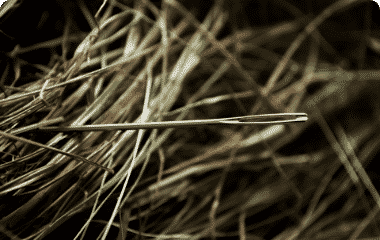 a needle in a haystack