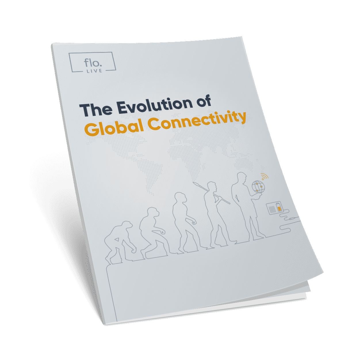 The evolution of global connectivity