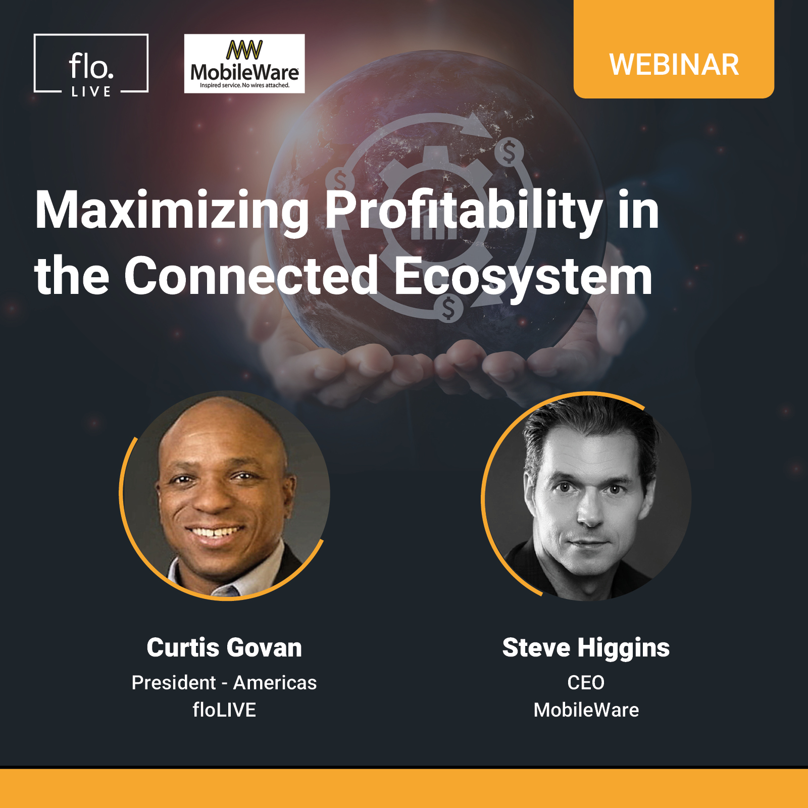 Maximizing Profitability in the Connected Ecosystem image