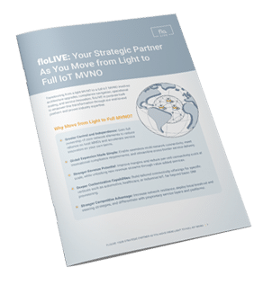 Solution Sheet: From Light to Full MVNO image